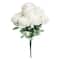 Cream Rose Bush by Ashland®